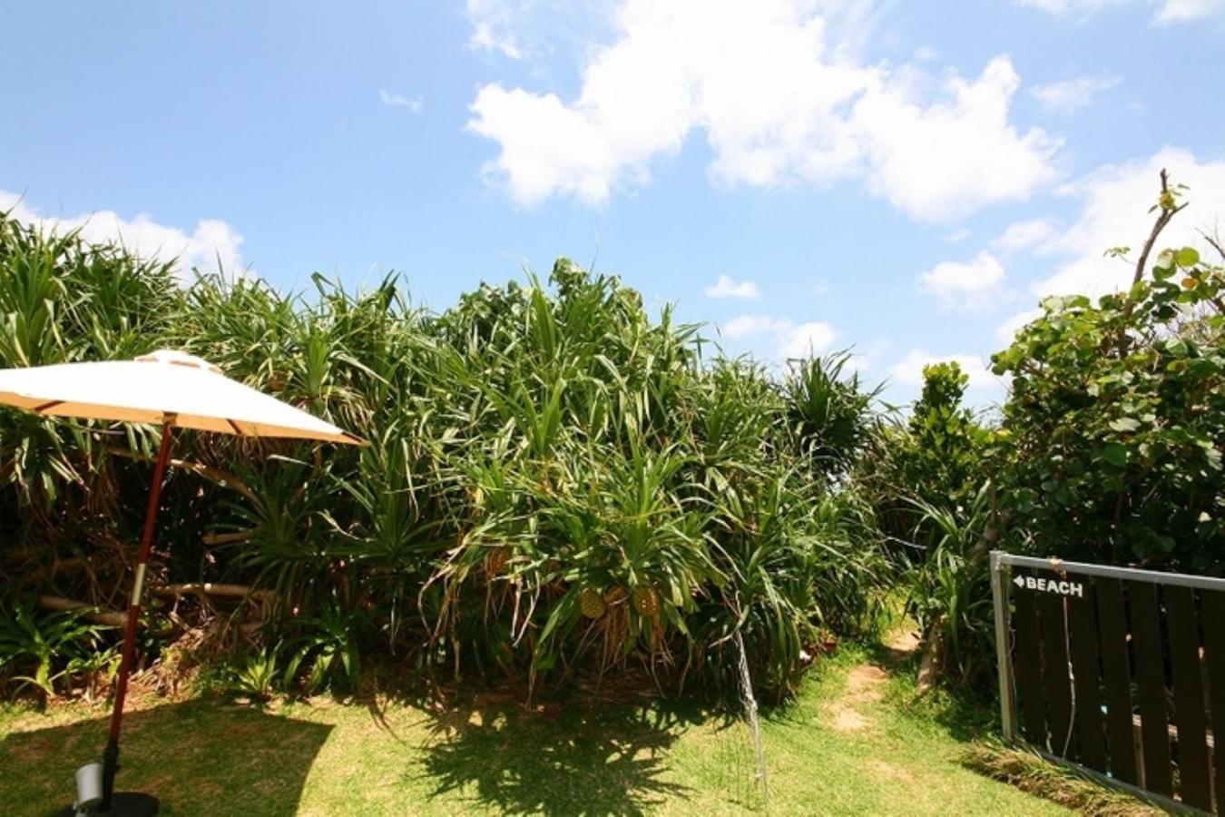 Casa Dumai Oceanvilla 今帰仁村 エクステリア 写真